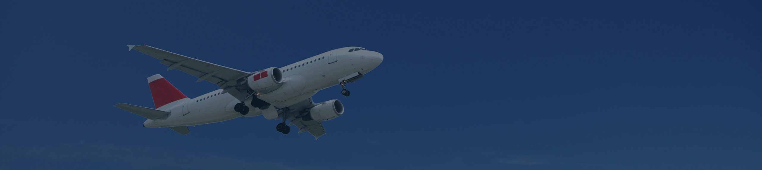 The Future of Sustainable Aviation Fuel The Future of Sustainable Aviation Fuel: Industry Growth and Engineering Challenges