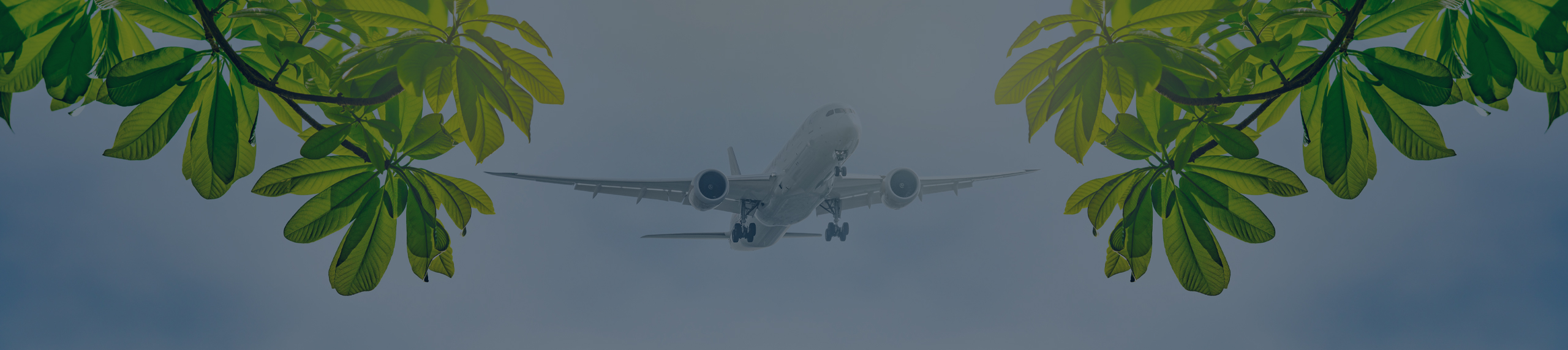 What is Sustainable Aviation Fuel (SAF)?