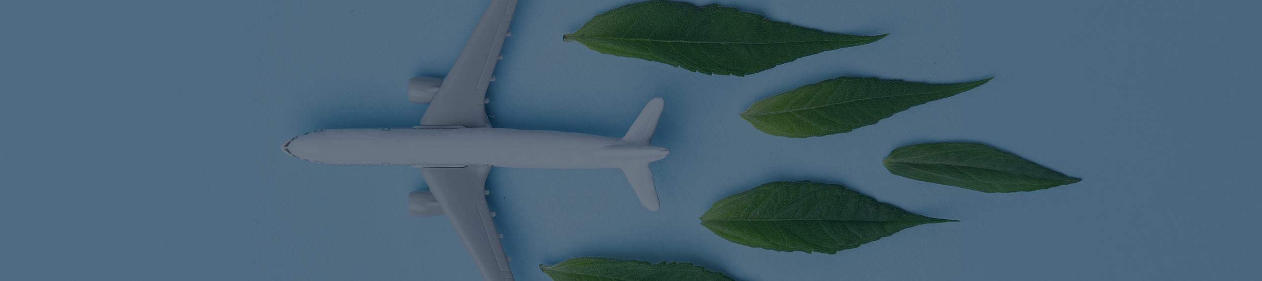 Sustainable Aviation Fuel (SAF)